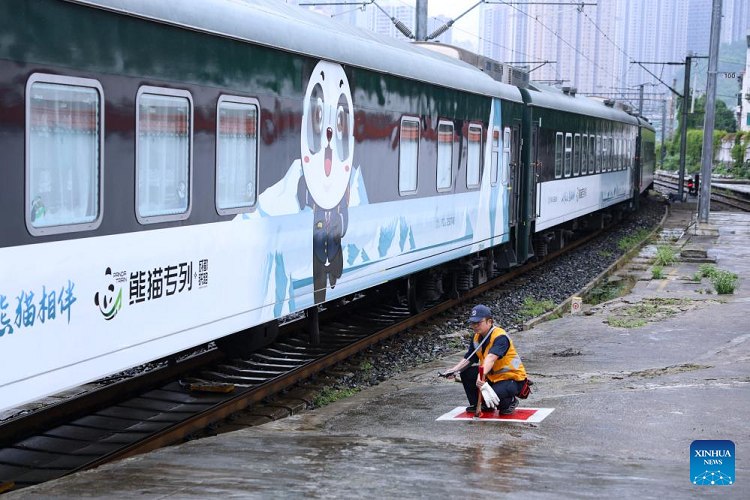 Panda Train departing from Guiyang railway station at Guiyang on 8 May 2024